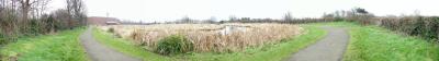 Carrickfergus Leisure Center Pond